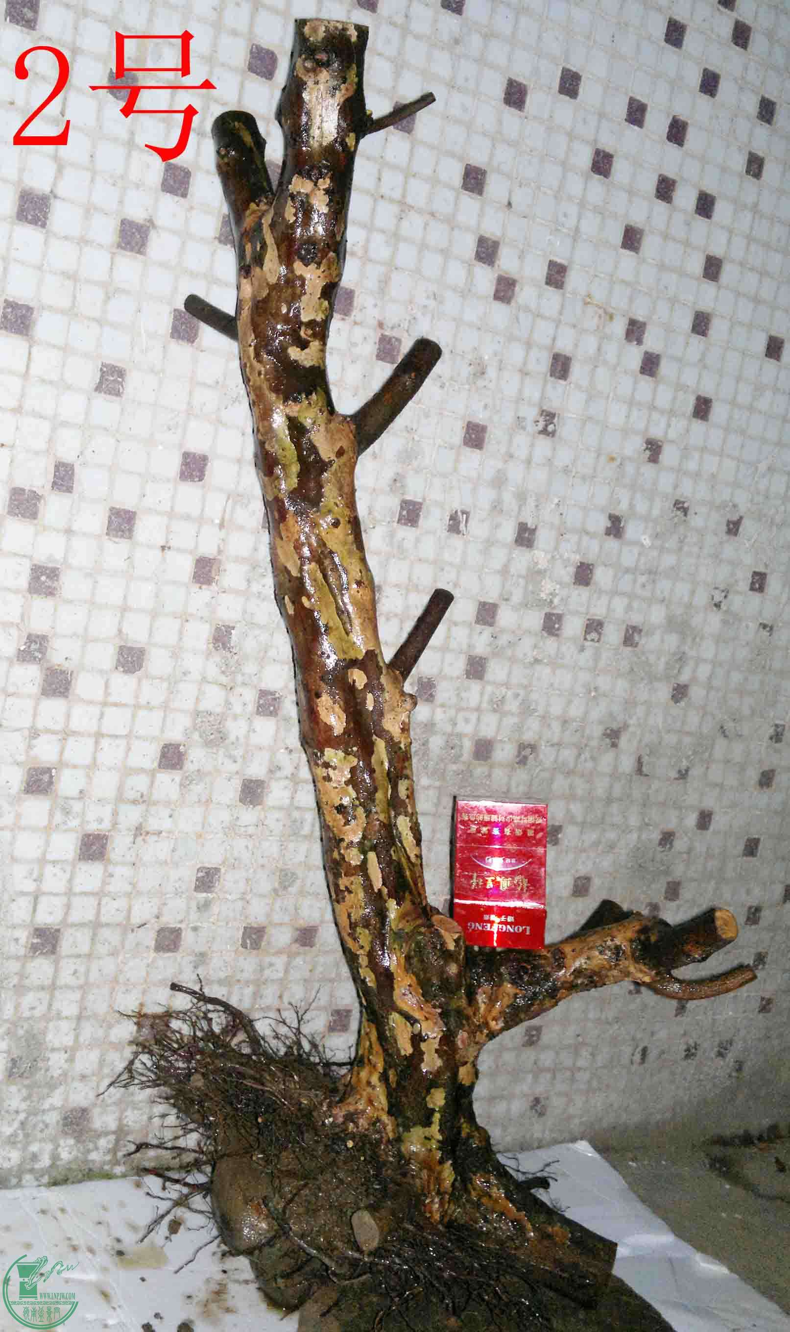 201503264139.jpg