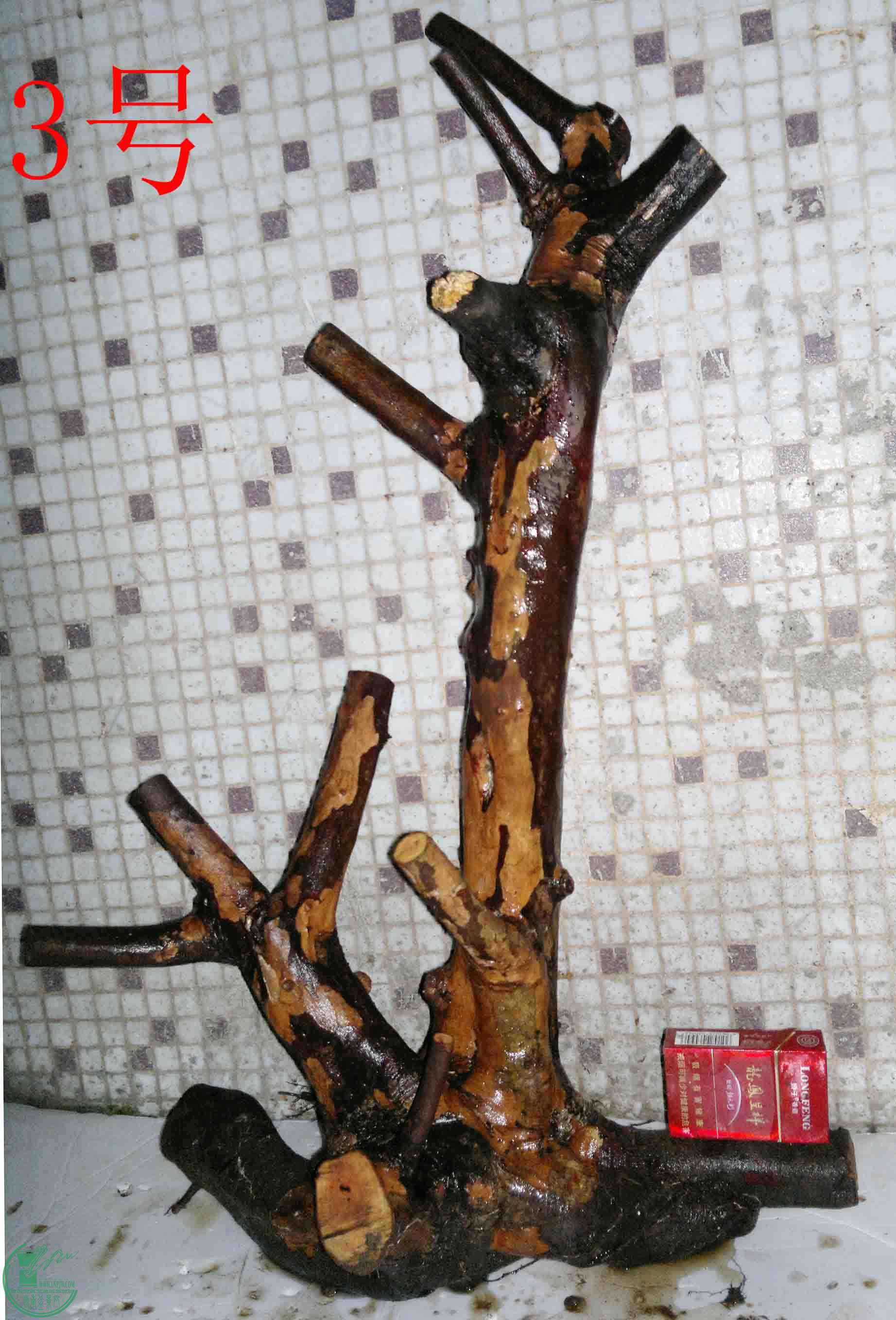 201503264155.jpg