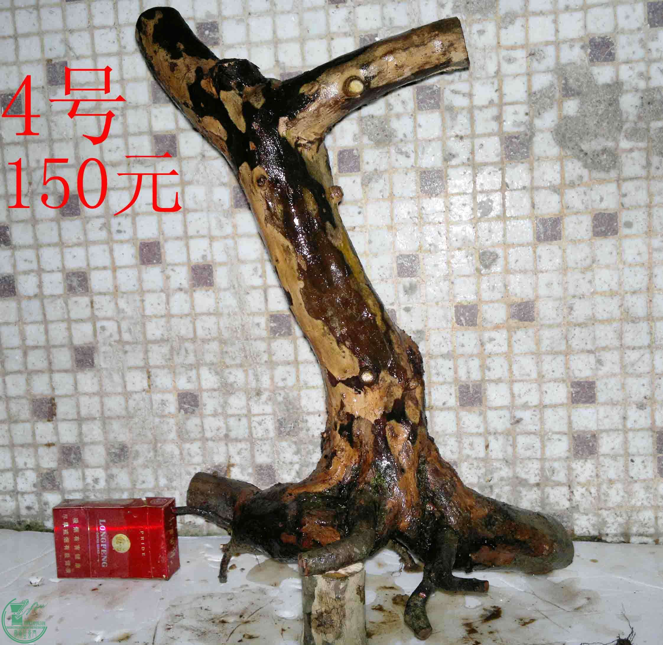 201503264161.jpg