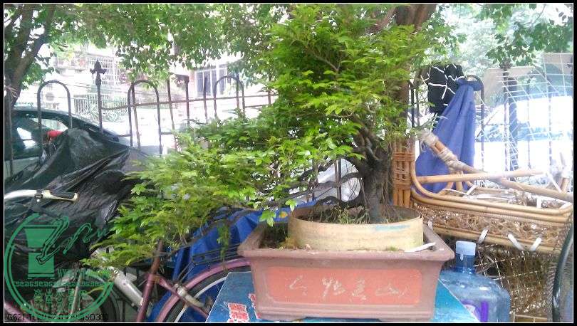 ڹ1.jpg