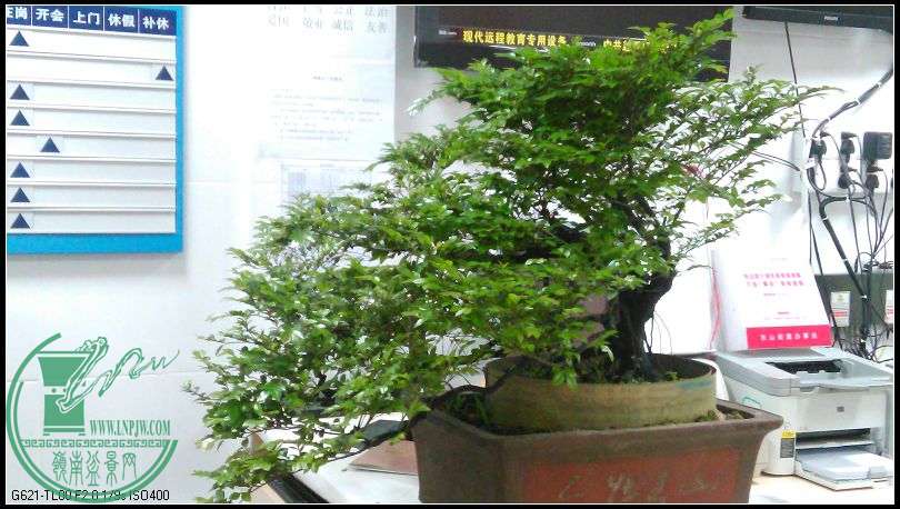 ڹ3.jpg