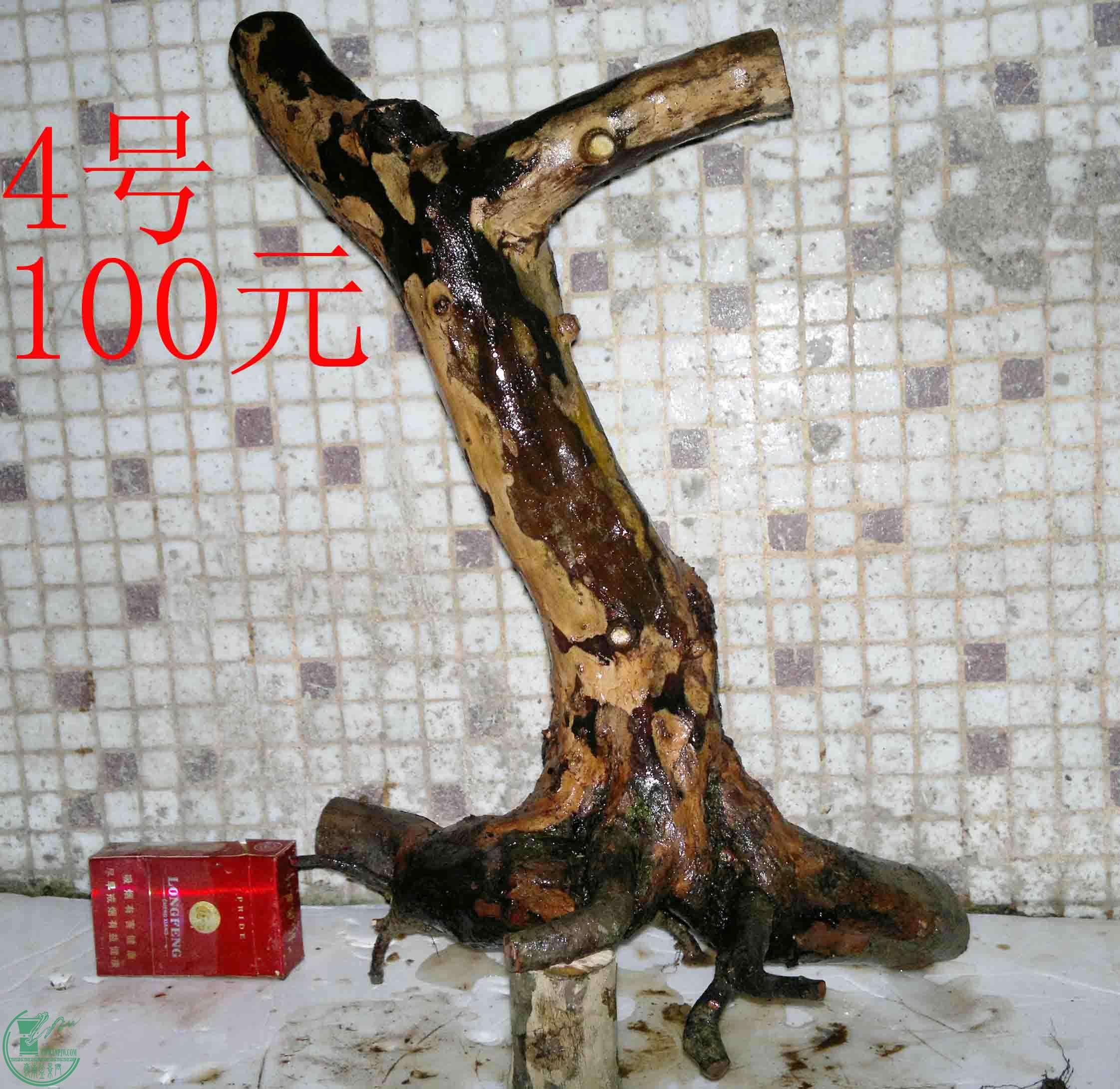 201503264161.jpg