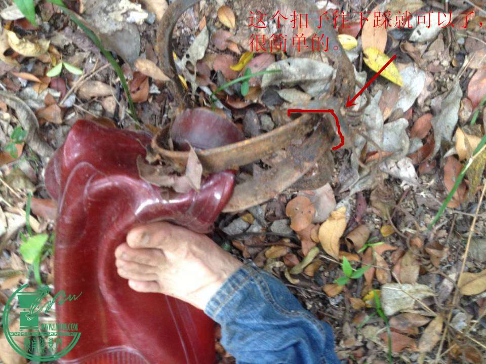 210625qqdq94n5g5g9an85_jpg_thumb.jpg