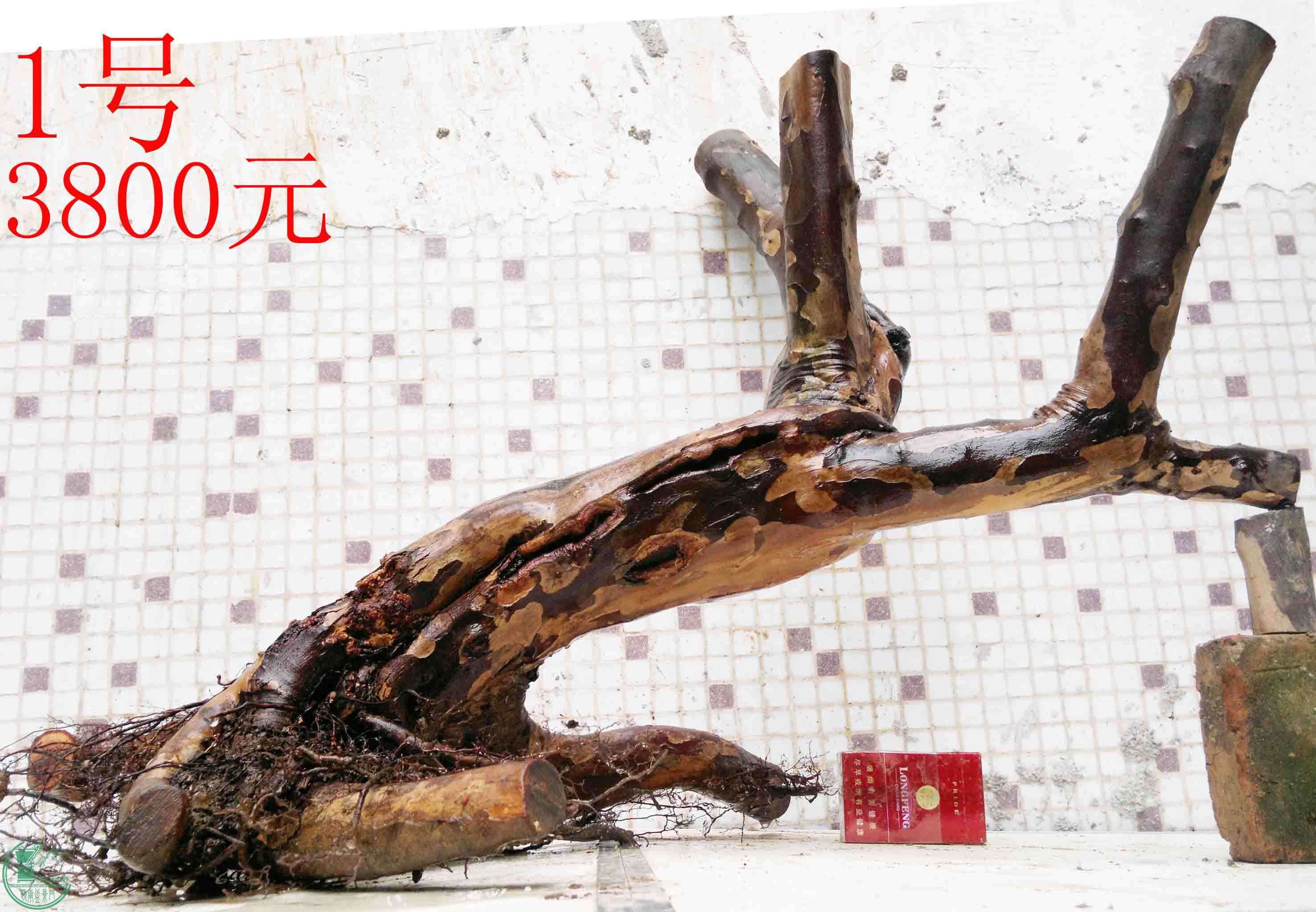 201503284215.jpg