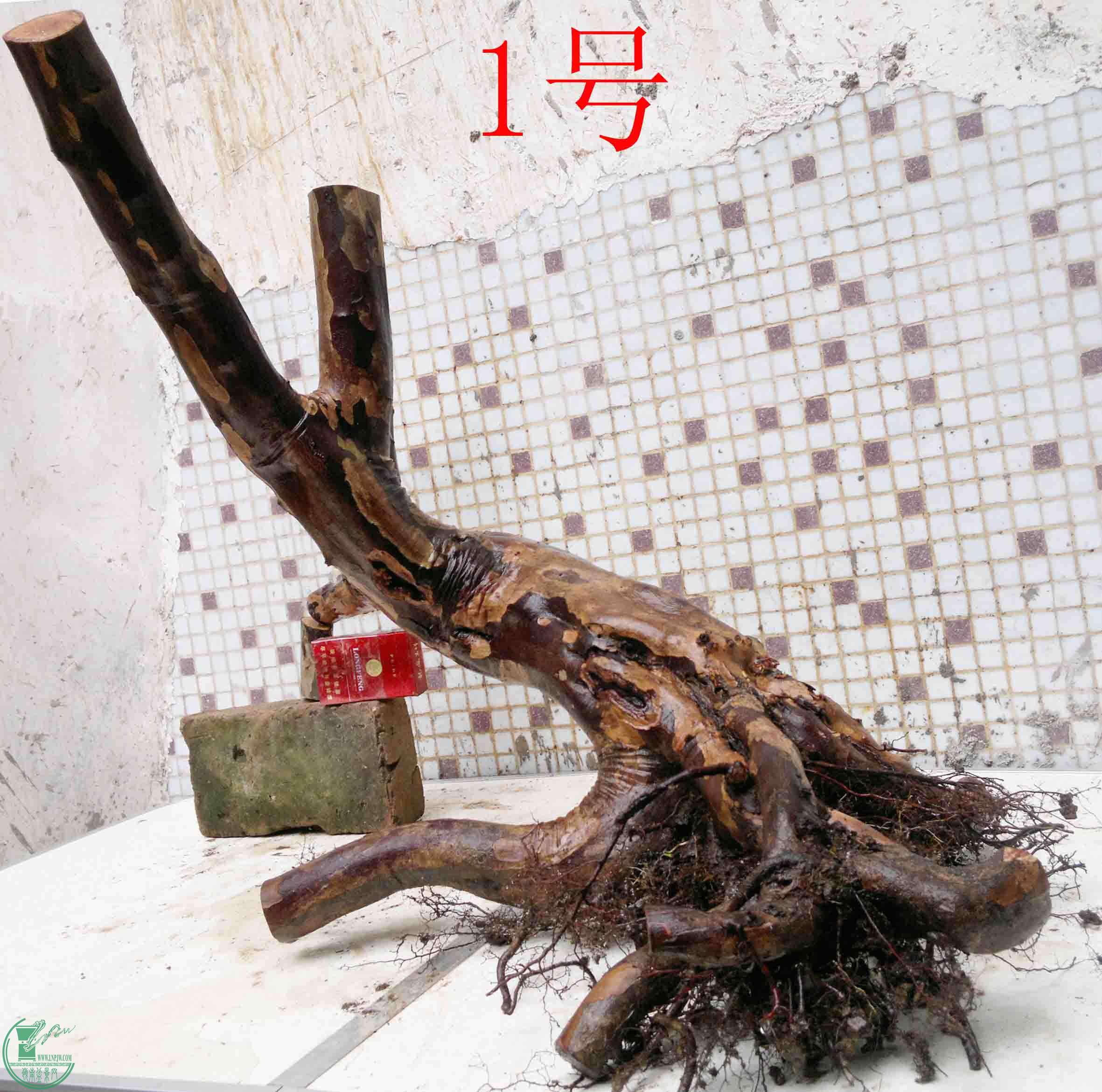 201503284221.jpg