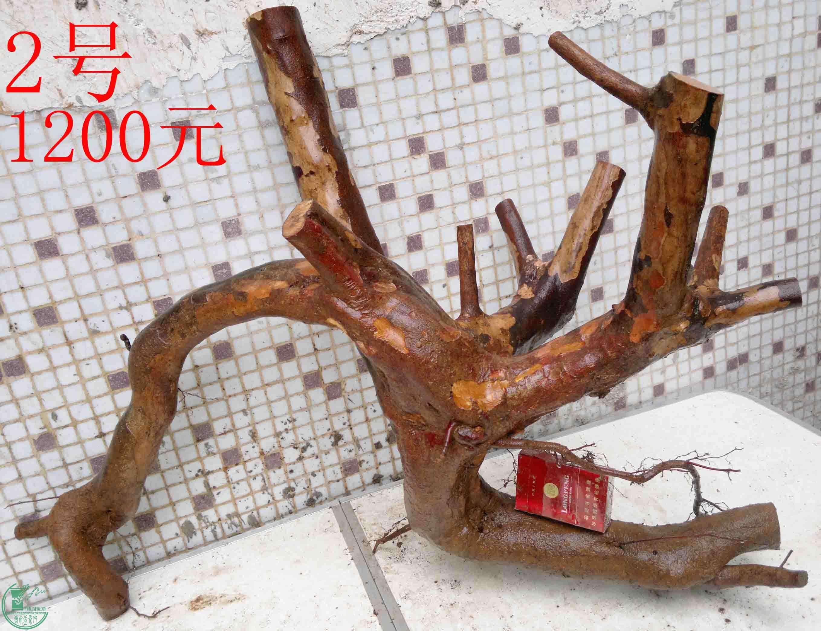 201503284234.jpg