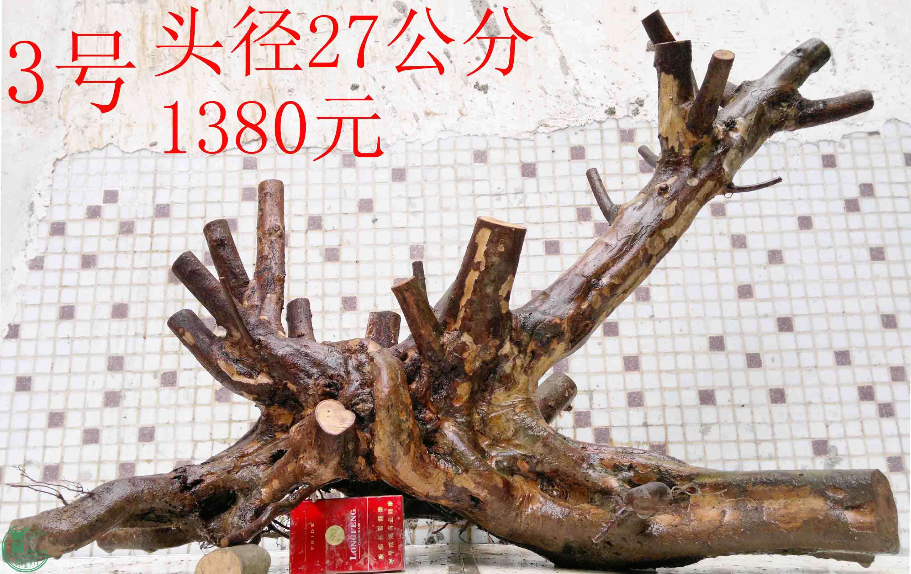201503284253.jpg