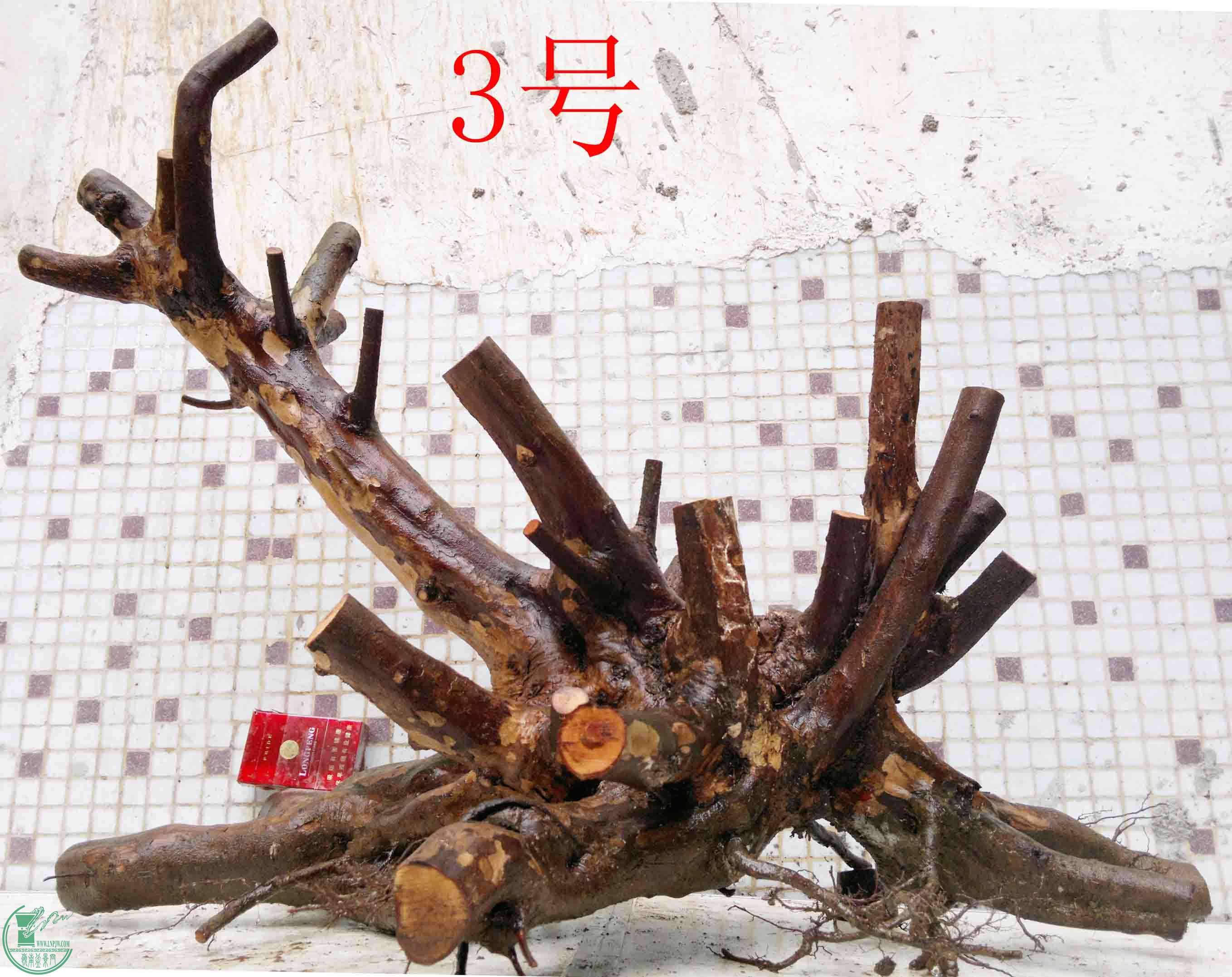 201503284260.jpg