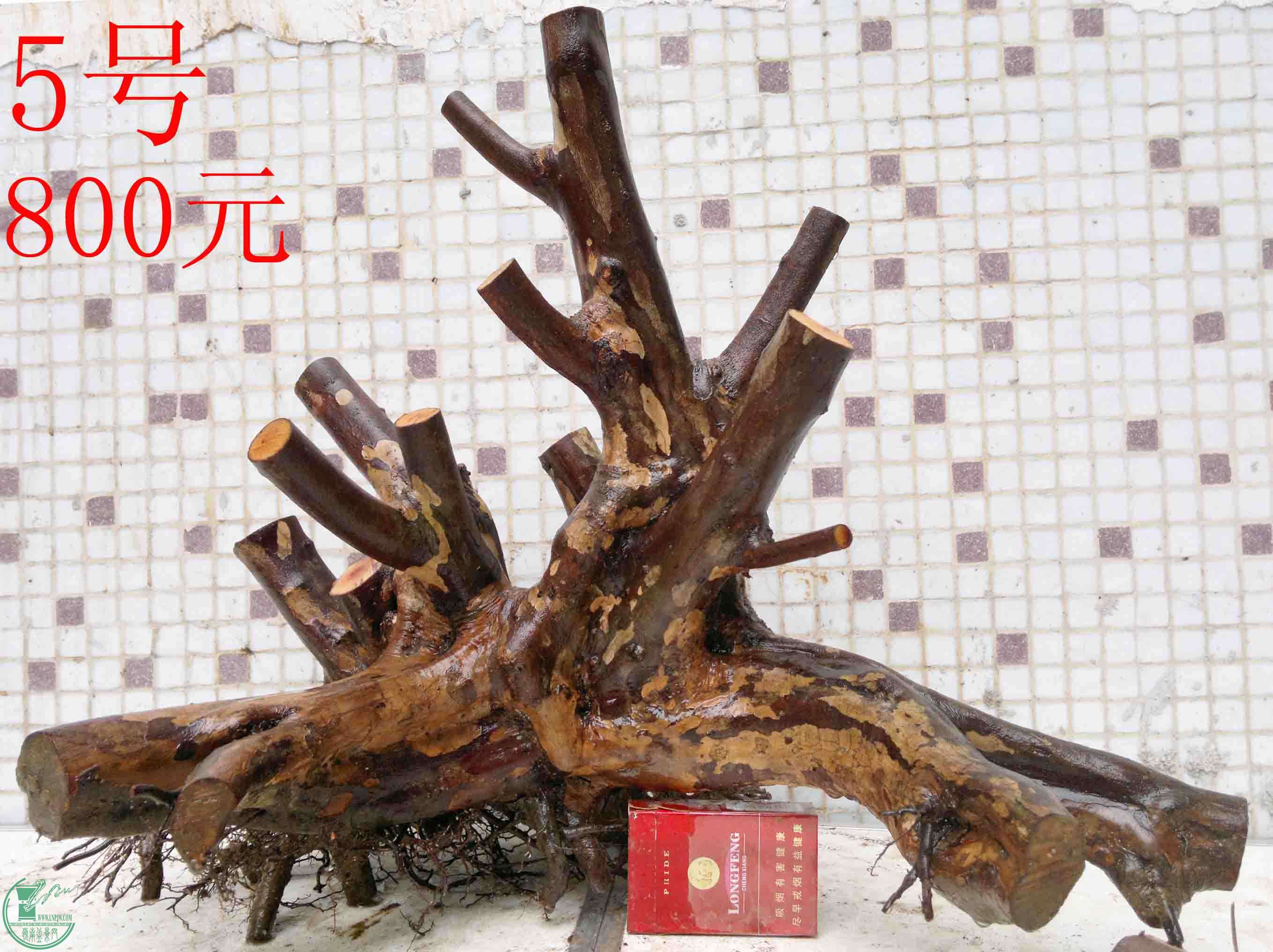 201503284281.jpg