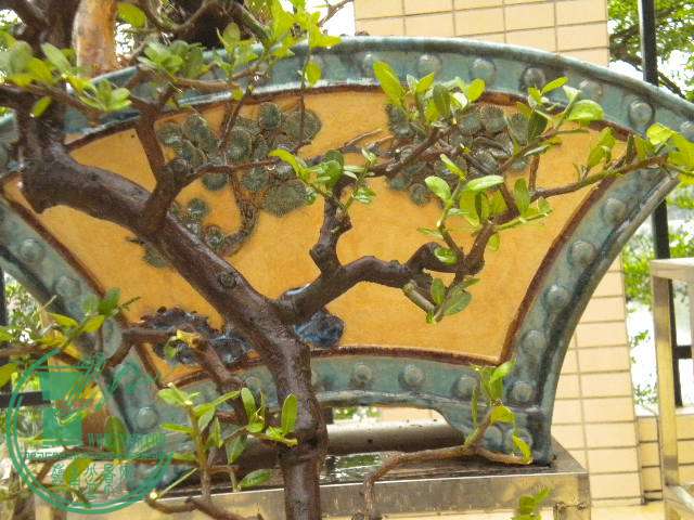 DSCN7913.JPG