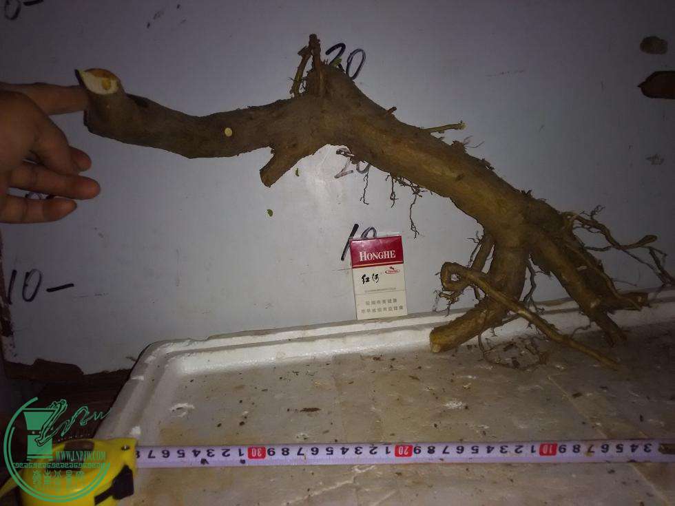 16.jpg