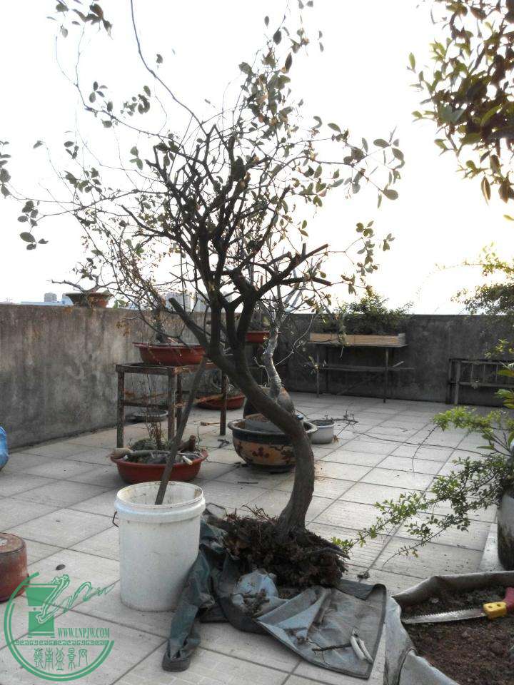 rps20150329_185327.jpg