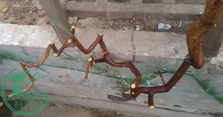 2_.jpg