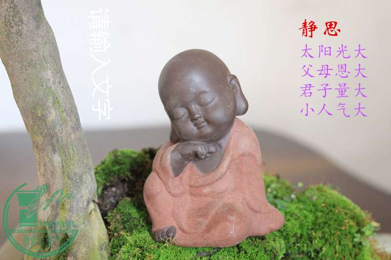 IMG_4845__.jpg