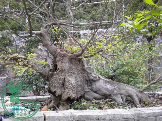 DSCN7869.JPG