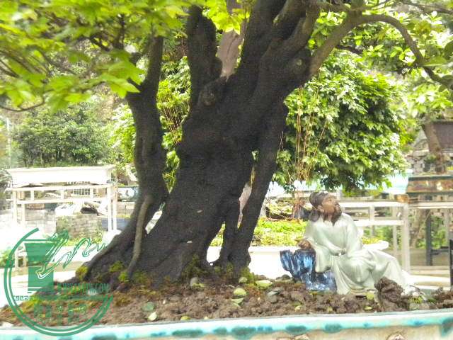 DSCN8006.JPG