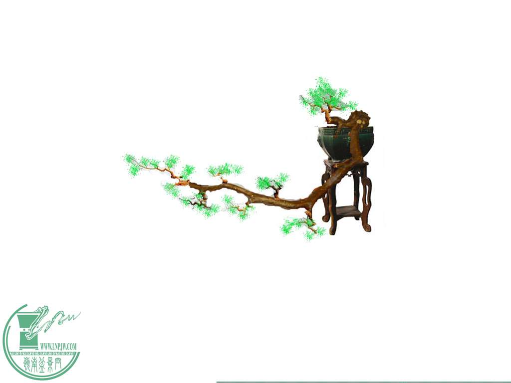 P1130558__.jpg