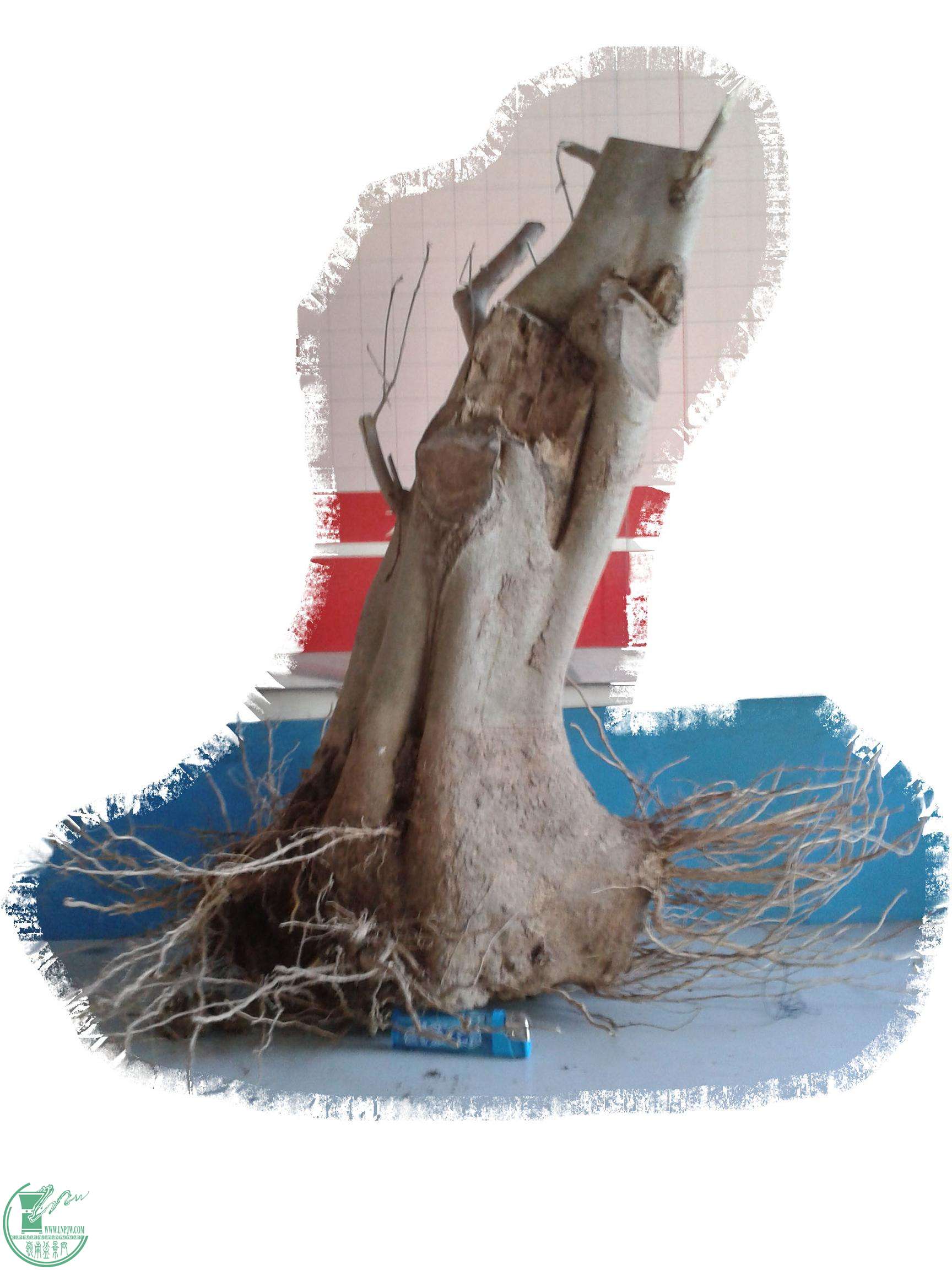 20150117_100.jpg