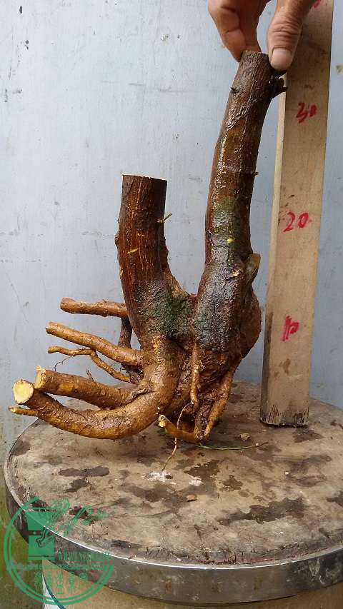 20150330_154246.jpg