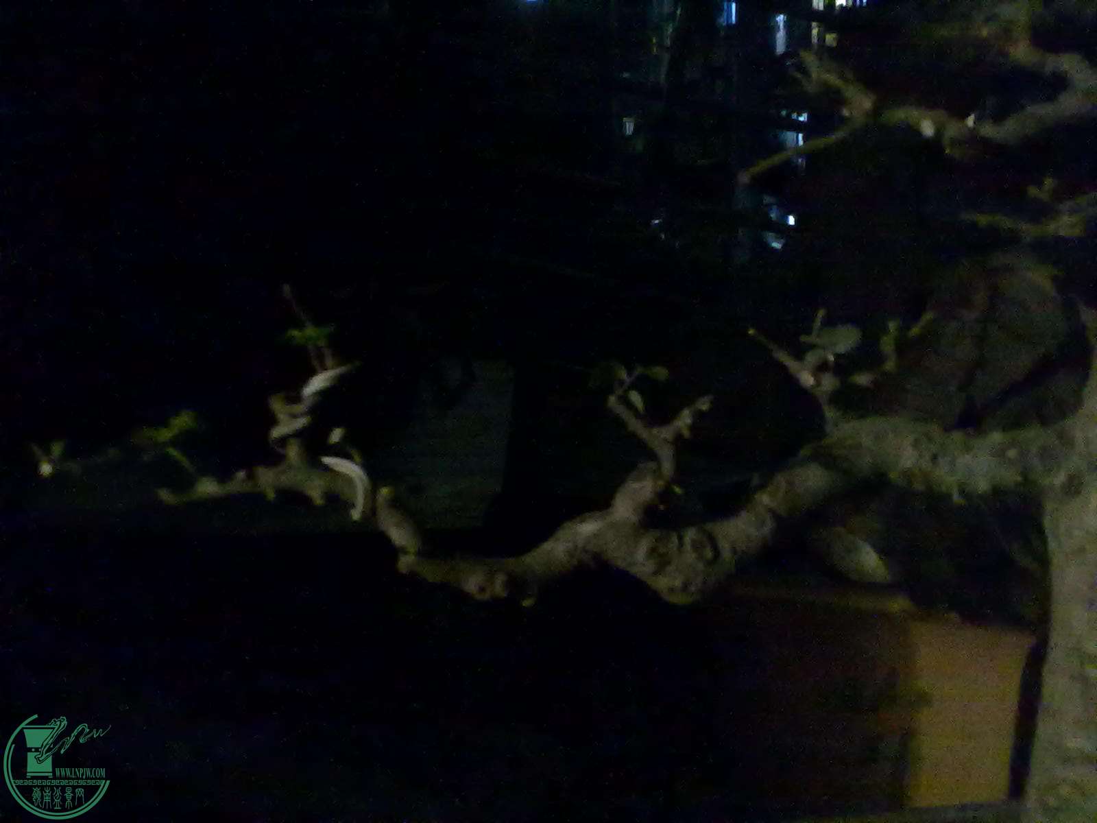 201503311062.jpg