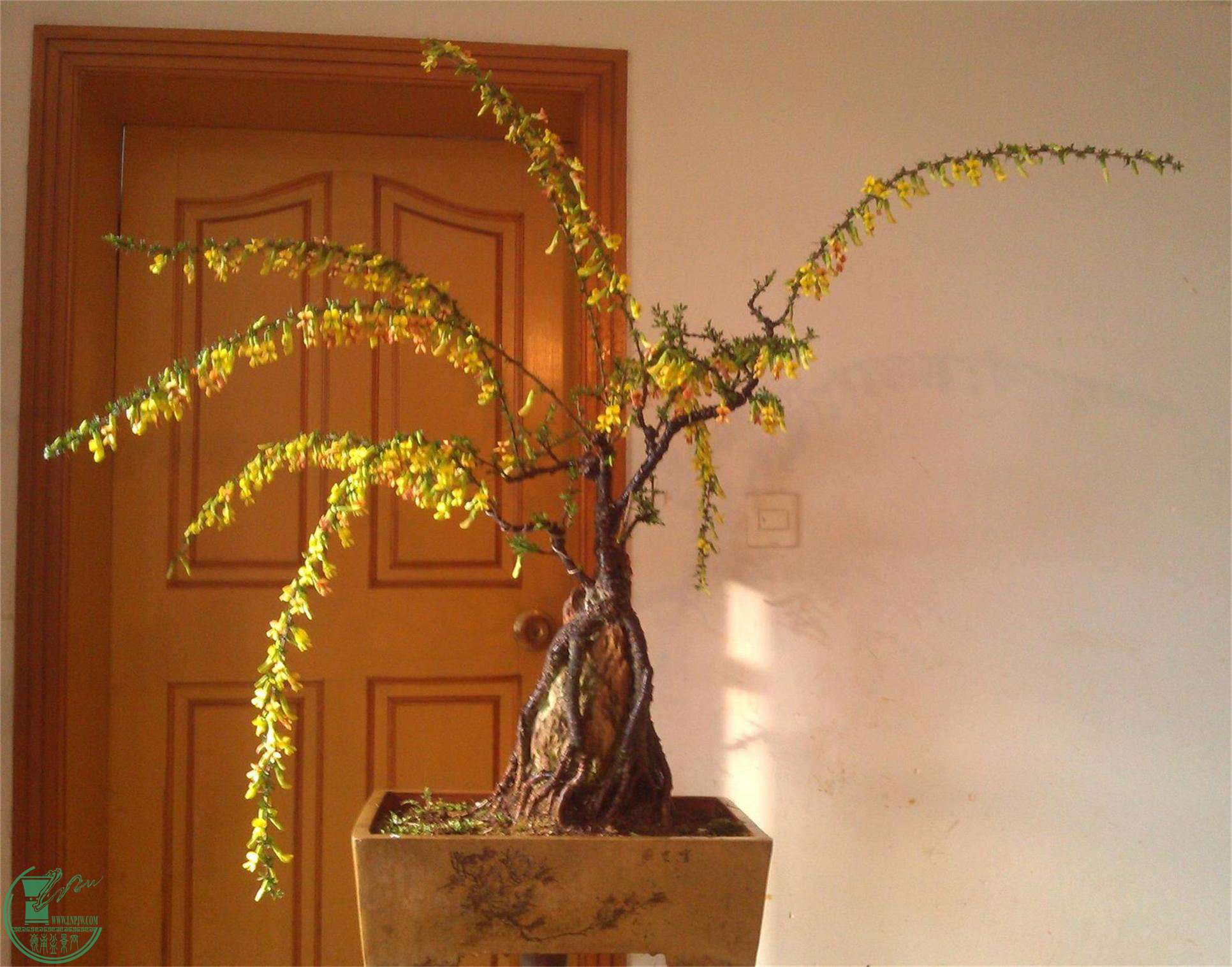 ȸ19IMG_20150331_072744_2345ͼ_ͼ.jpg