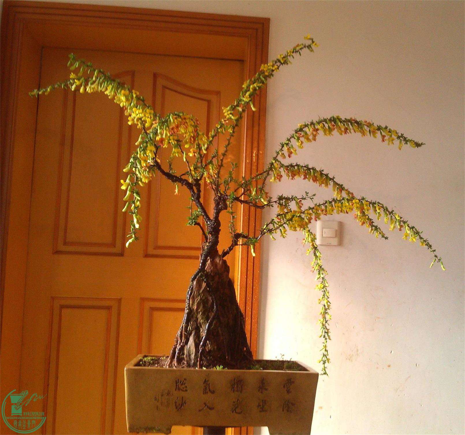 ȸ110IMG_20150331_072613_2345ͼ_ͼ.jpg