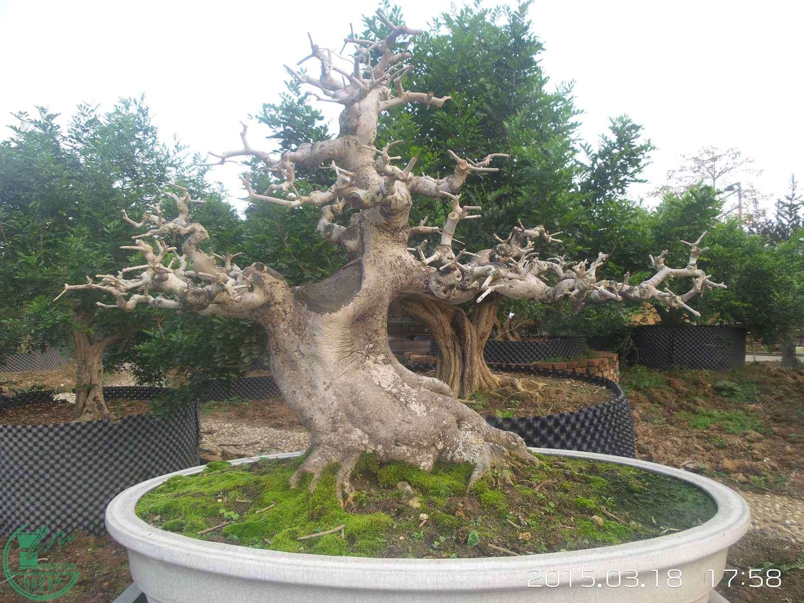 20150318_175805.jpg