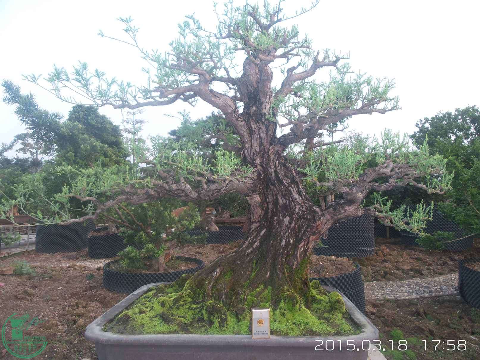 20150318_175835.jpg
