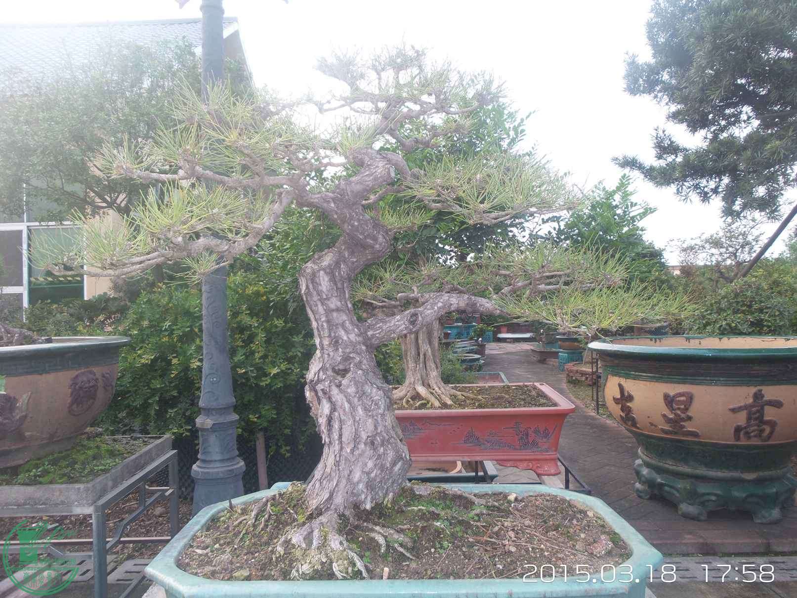 20150318_175857.jpg