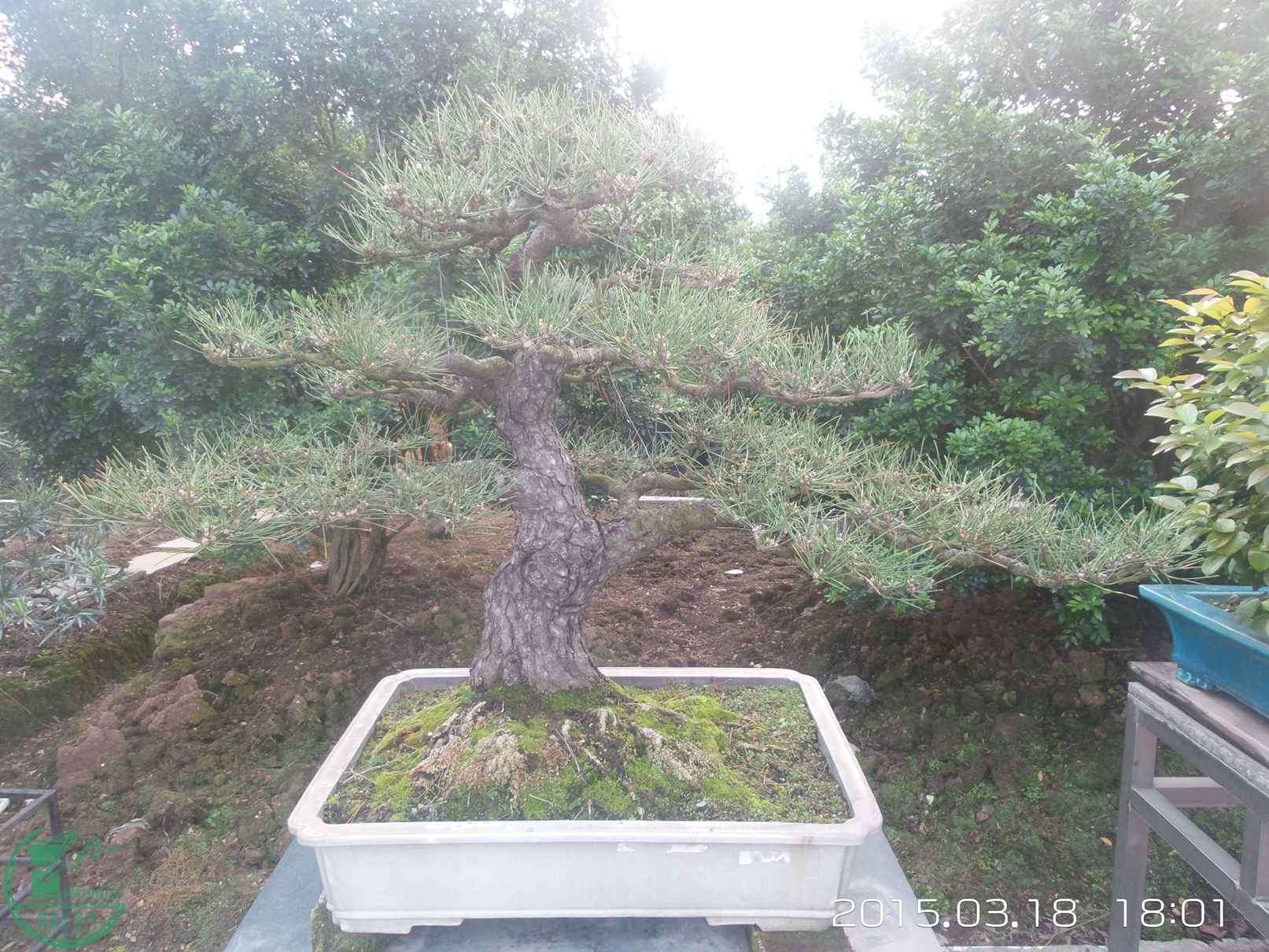 20150318_180131.jpg