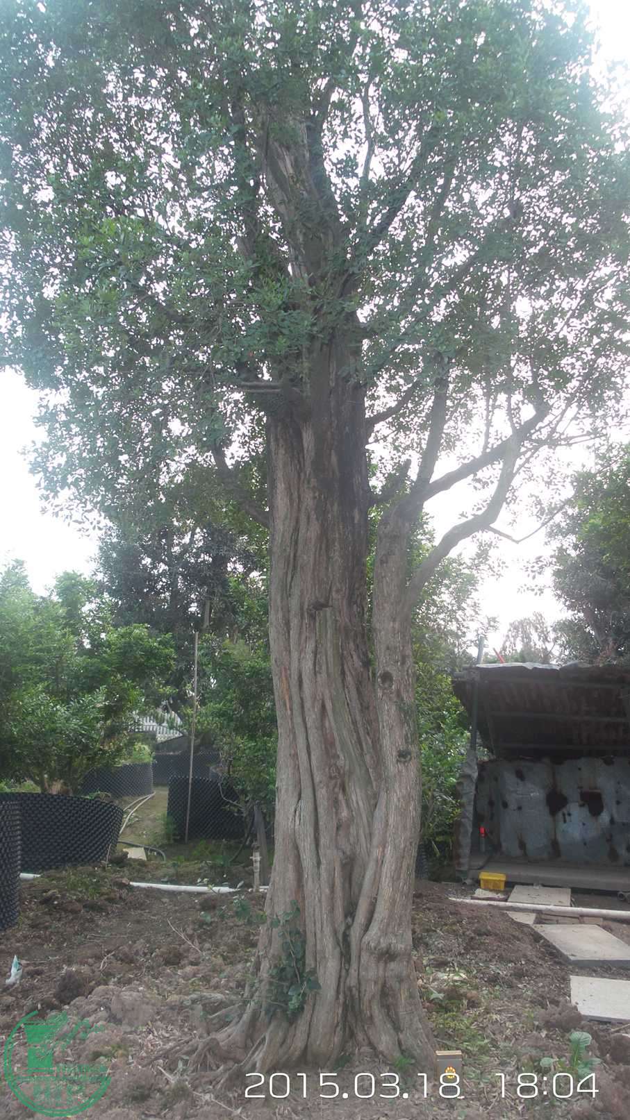 20150318_180424.jpg