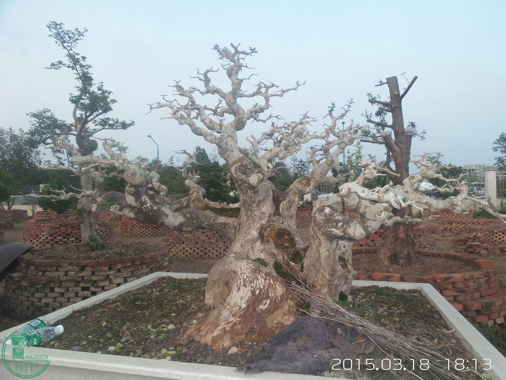 20150318_181306.jpg