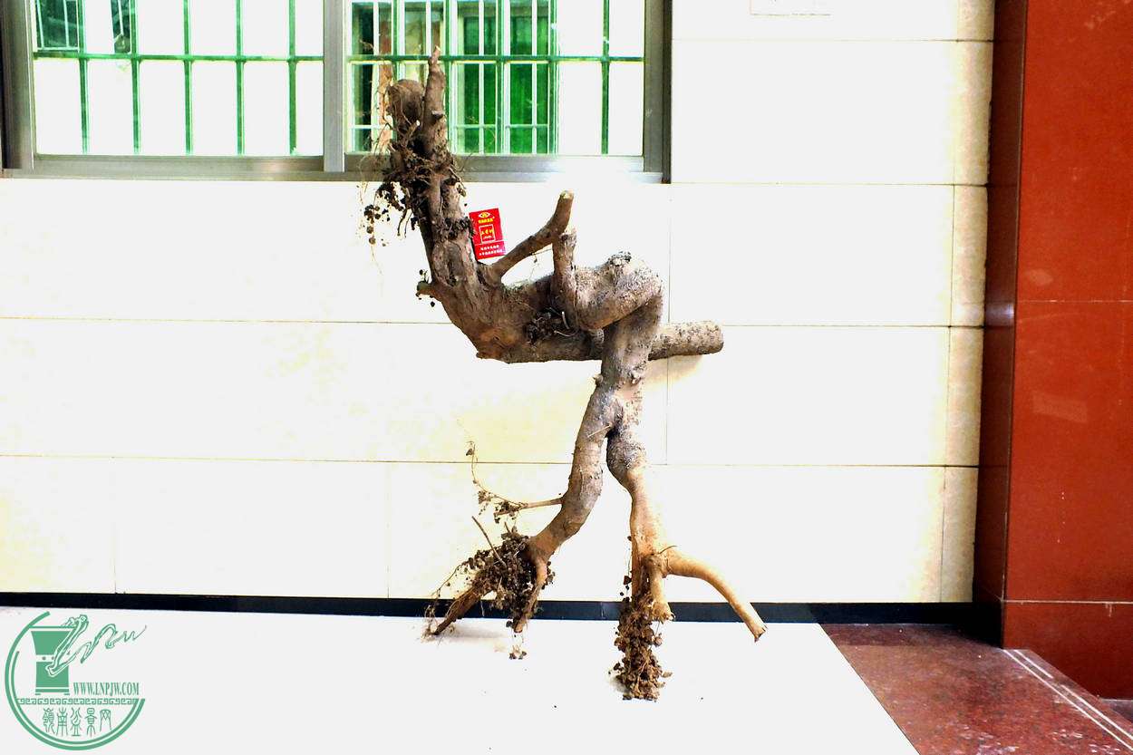 001.JPG