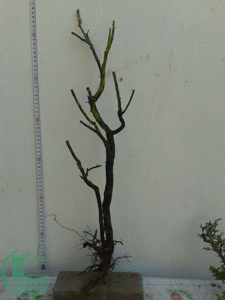 QQͼƬ20150402150645.jpg