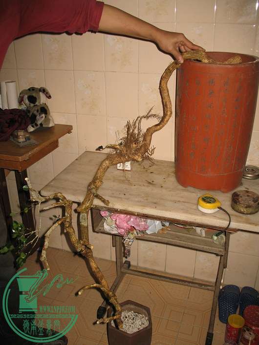 035.JPG