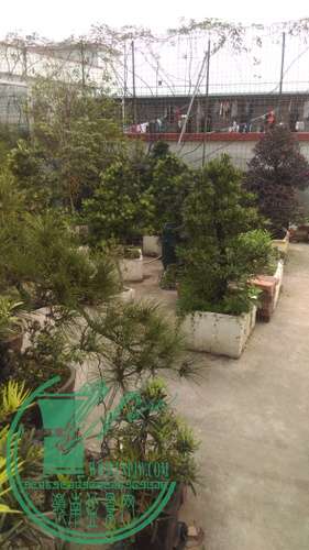 IMAG0214.jpg