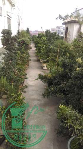 IMAG0213.jpg