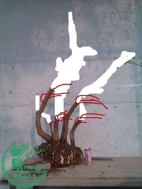 174031rpf8ecpmp6c6pscn_jpg_thumb.jpg