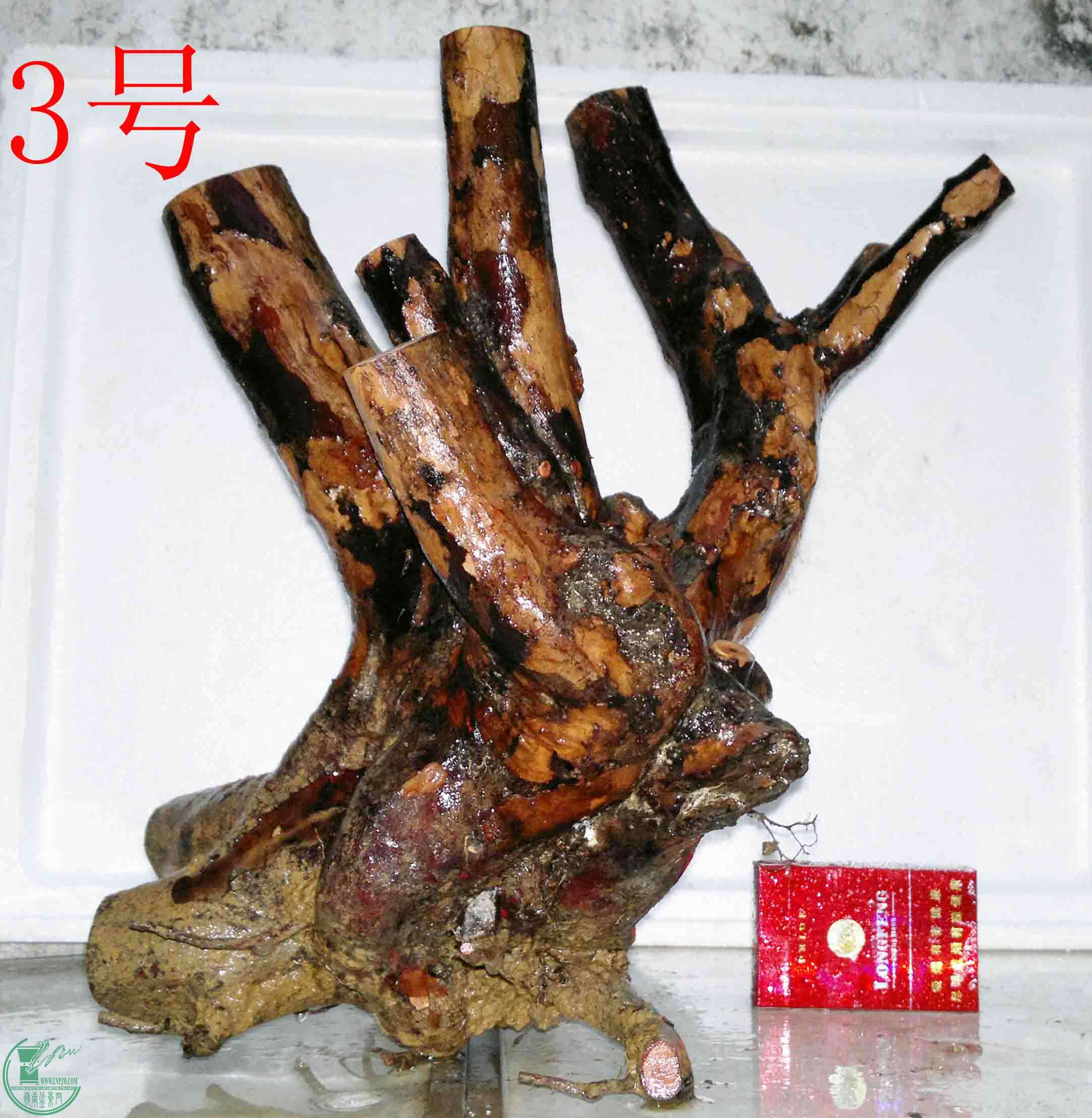201504024490.jpg