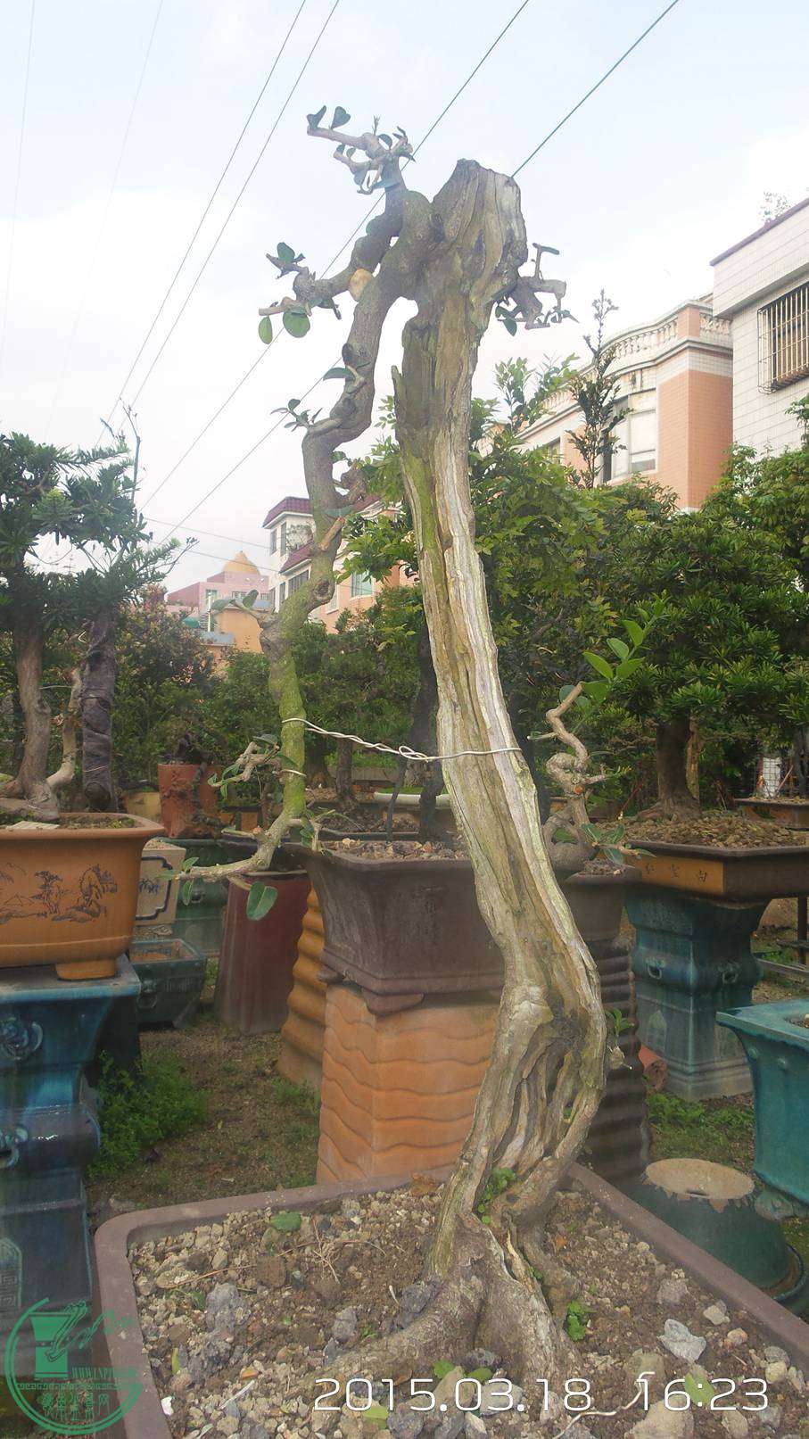 20150318_162321.jpg