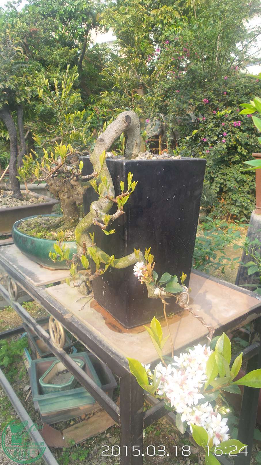 20150318_162408.jpg