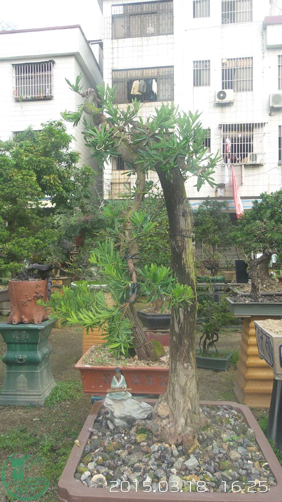 20150318_162514.jpg