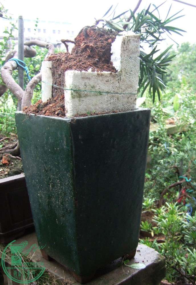 6086.JPG