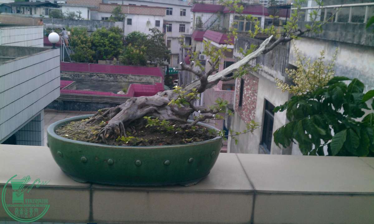 IMAG0130.jpg