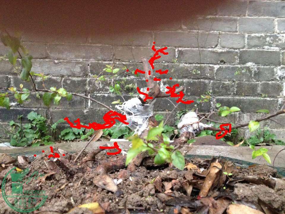 QQͼƬ20150304185955.jpg