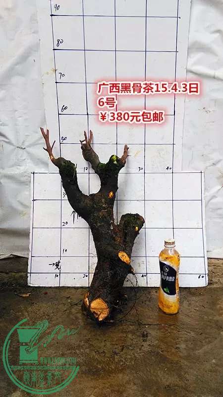 psb (12).jpg