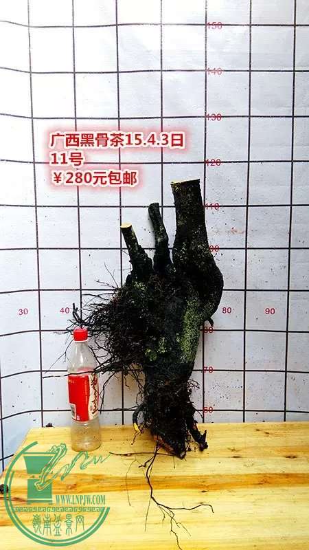 psb (22).jpg