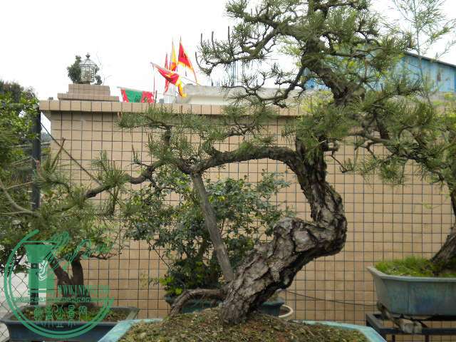 DSCN8001.JPG