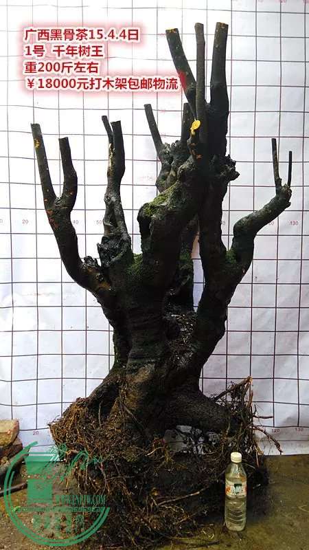 psb (3).jpg
