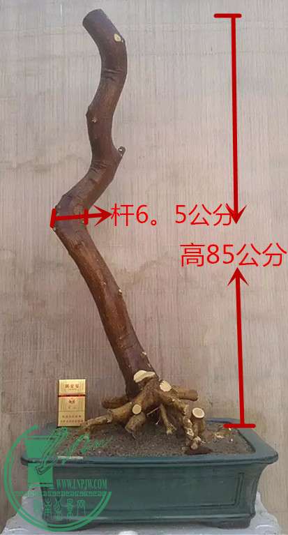 11_1.jpg